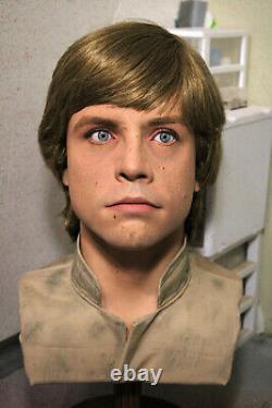 1/1 Lifesize CUSTOM Luke Skywalker Bespin bust Star Wars ESB prop IN STOCK