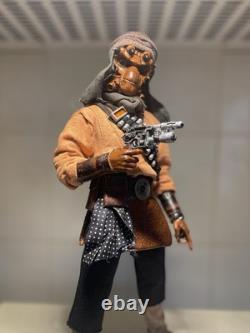 1/6 Star Wars Nikto Pirate Custom 12 Figure (Hot Toys /Sideshow Scale)