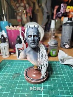 1/6 scale custom painted Star Wars Zabrak head sculpt male with rooted hair