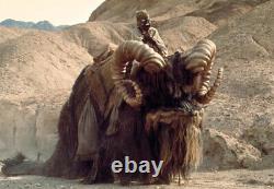 Gentle Giant Star Wars Tusken Raider On Bantha Statue Customer