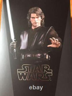 Hot Toys Star Wars Accessories Anakin Skywalker EP 3 1/6 Hair Custom