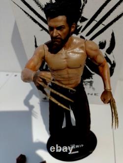 Hot toy the wolverine mms220 Battle with world box body battle custom 1/6 no dx