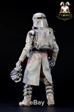 Sam Kwok 1/6 Custom Painting Hot Toys Star Wars First Order Snowtrooper DSN009E