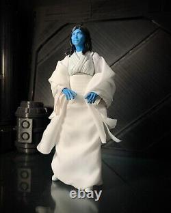 Star Wars Custom 6 Black Series Female Chiss Action Figure jedi sith thrawn