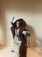Star Wars Custom Figure Obi Wan Kenobi Tattooine Nomad Dune Sea 3.75