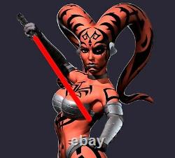 Star Wars DARTH TALON EX 1/4 Custom statue Sealed Ahsoka Revan + Sideshow Book