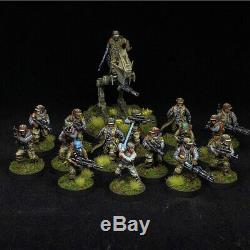 Star Wars Legion Miniatures Premium Custom Painted PMLW