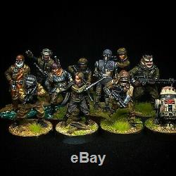 Star Wars Legion Miniatures Premium Custom Painted PMLW