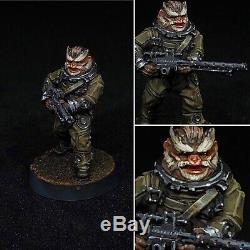 Star Wars Legion Miniatures Premium Custom Painted PMLW