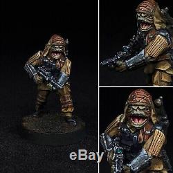 Star Wars Legion Miniatures Premium Custom Painted PMLW