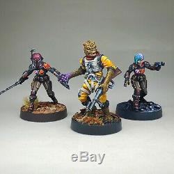 Star Wars Legion Miniatures Premium Custom Painted PMLW