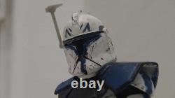 Star Wars the Black Series Custom Clone Captain Rex(Phase 1)