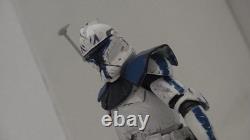 Star Wars the Black Series Custom Clone Captain Rex(Phase 1)